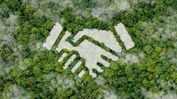 Why ESG Matters to Financial Professionals